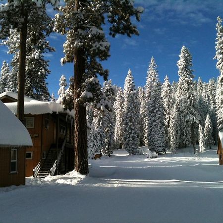 Montecito Sequoia Lodge Wilsonia Dış mekan fotoğraf