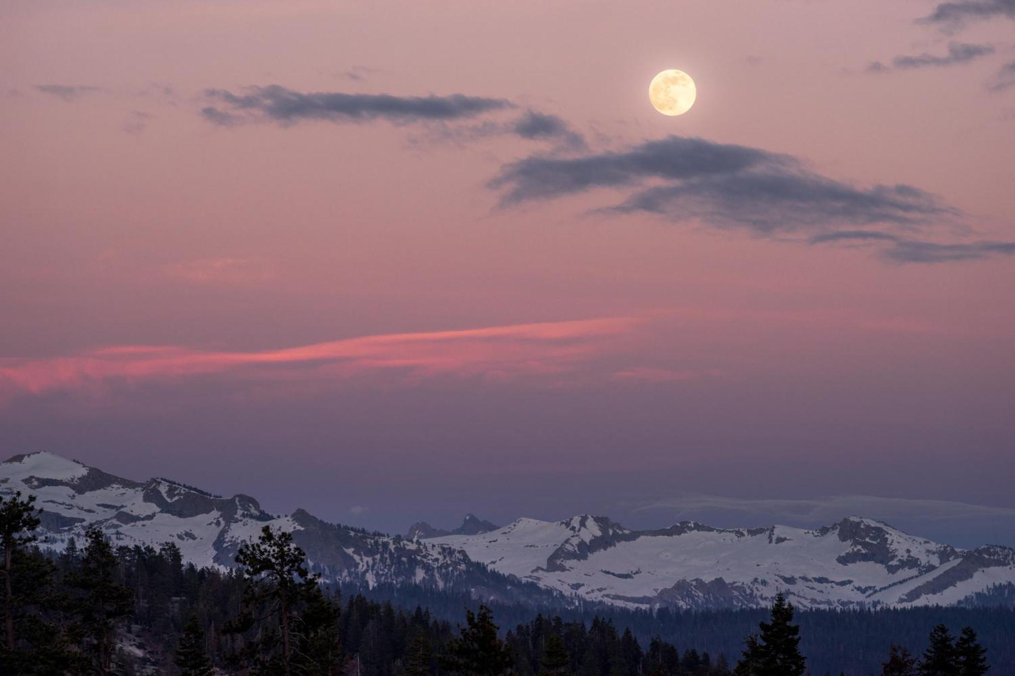 Montecito Sequoia Lodge Wilsonia Dış mekan fotoğraf