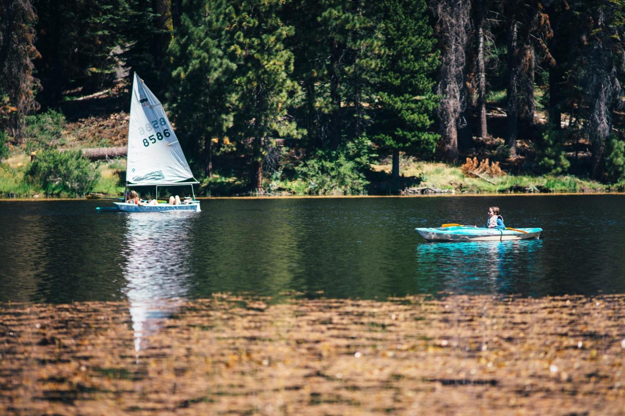 Montecito Sequoia Lodge Wilsonia Dış mekan fotoğraf