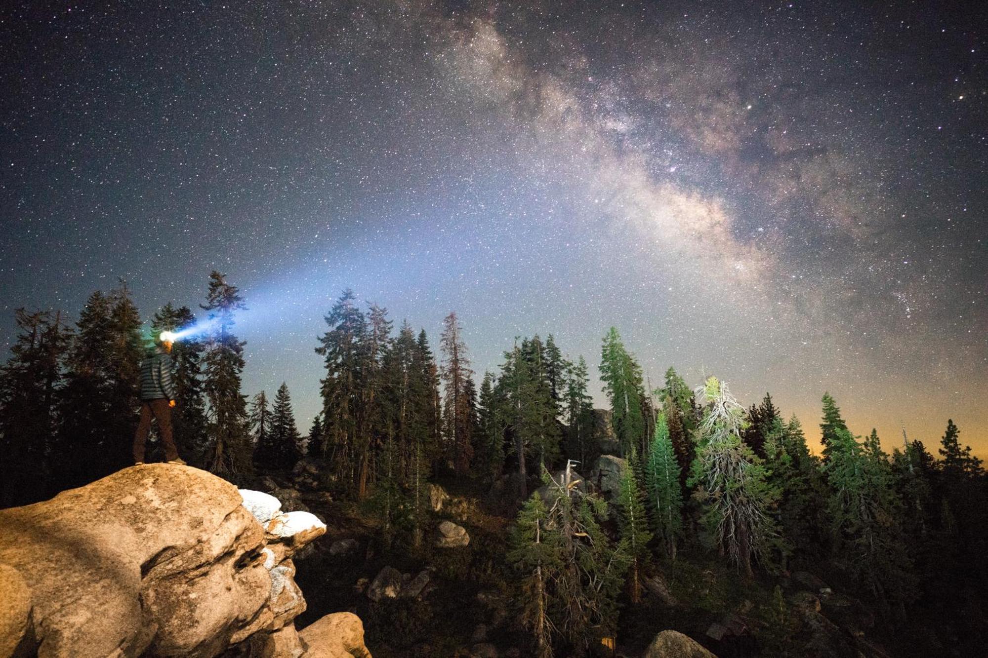 Montecito Sequoia Lodge Wilsonia Dış mekan fotoğraf