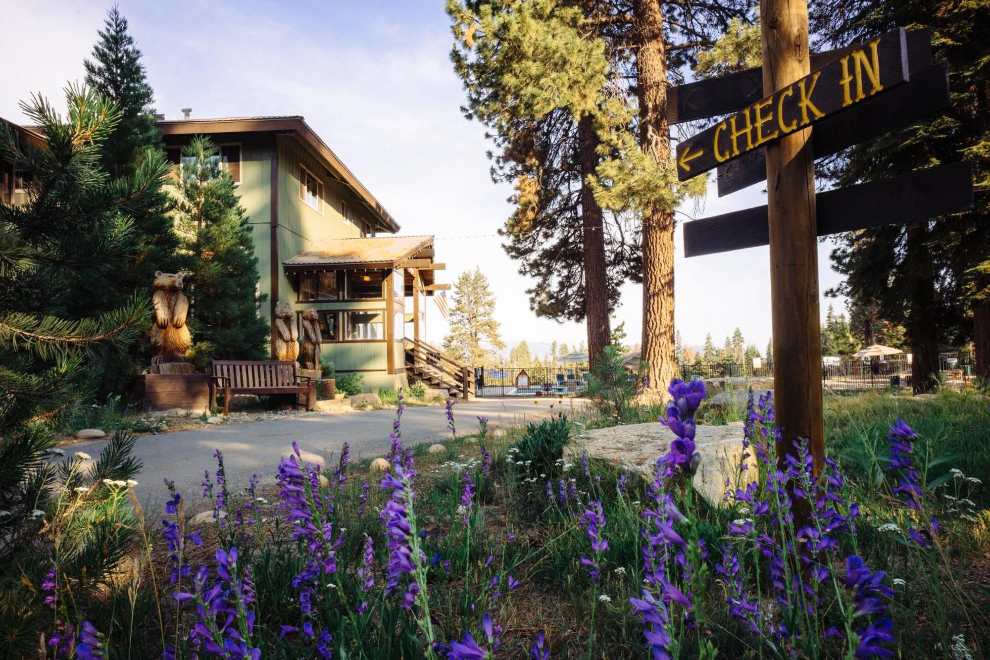 Montecito Sequoia Lodge Wilsonia Dış mekan fotoğraf