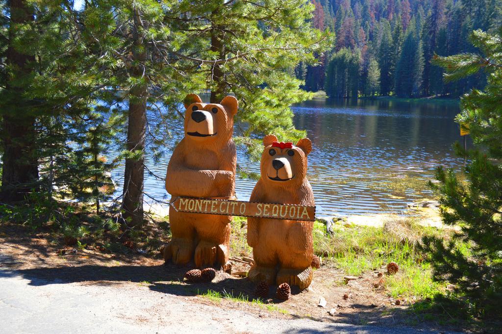 Montecito Sequoia Lodge Wilsonia Dış mekan fotoğraf