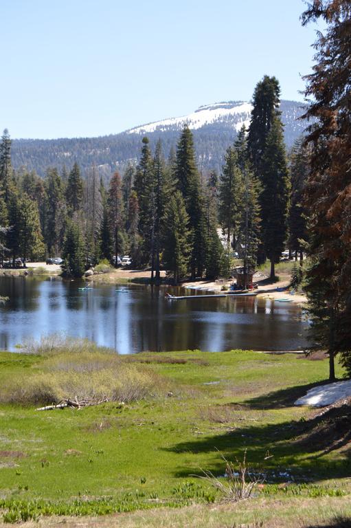 Montecito Sequoia Lodge Wilsonia Dış mekan fotoğraf