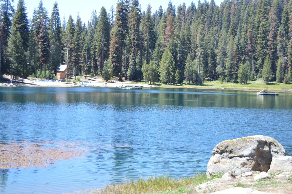 Montecito Sequoia Lodge Wilsonia Dış mekan fotoğraf